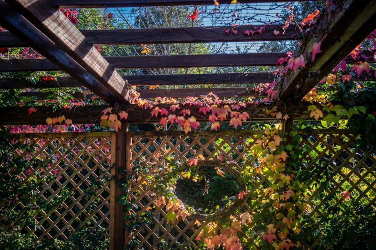 Le Fontanelle Apartamento Bagnoregio Exterior foto