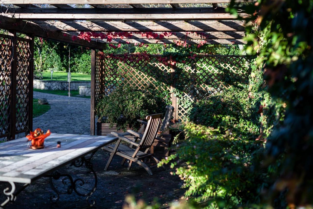 Le Fontanelle Apartamento Bagnoregio Exterior foto